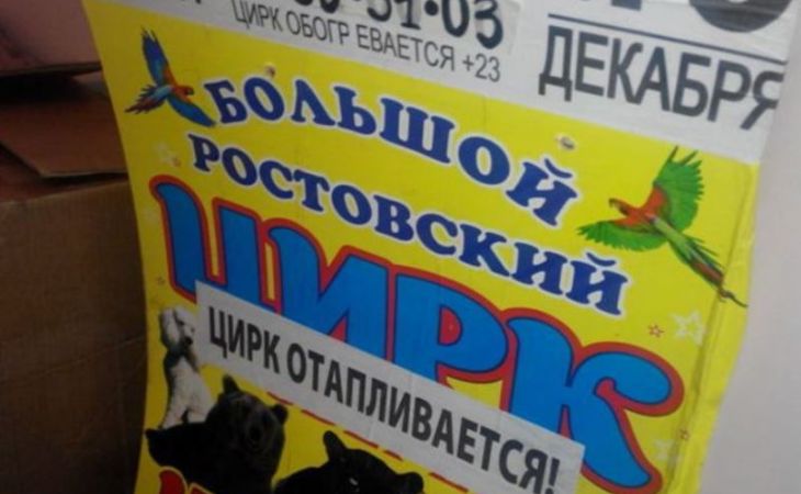 Более 80 незаконных афиш о гастролях цирка сняли в Барнауле