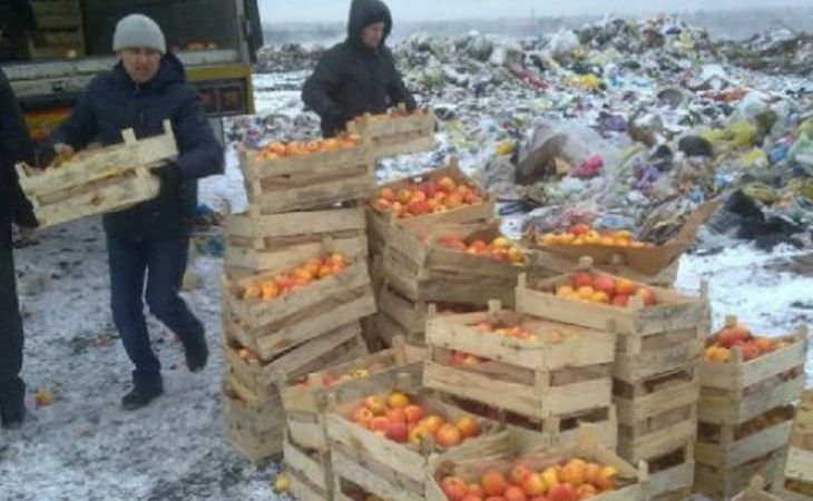 Более 1100 киллограммов санкционной продукции уничтожили на Алтае за 10 месяцев
