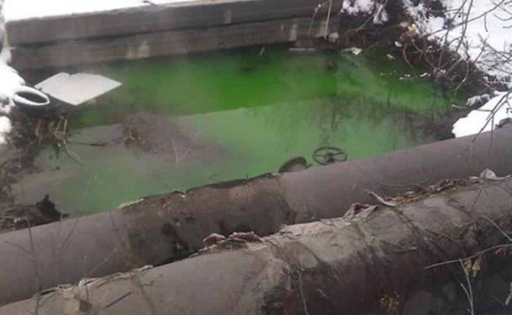 Вода в реке Пивоварка в Барнауле окрасилась в цвета Халка и Зеленого фонаря