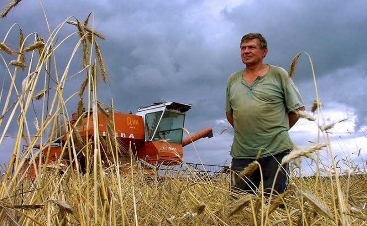 Аграрии Алтайского края взяли кредитов на полтора миллиарда рублей в 2015 году