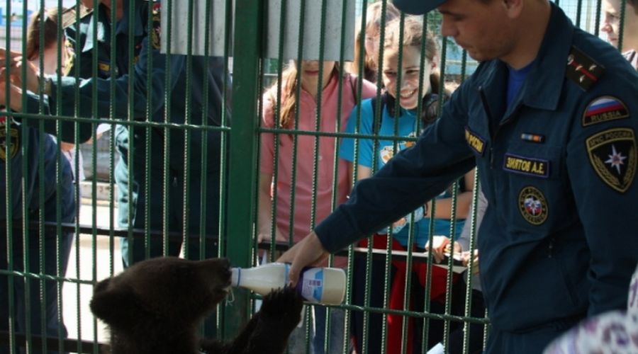 МЧС навестили в барнаульском зоопарке спасенного ими медвежонка - фото