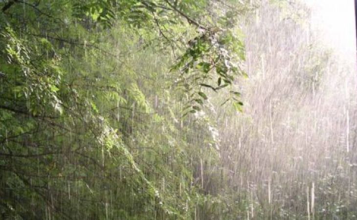 Сильные дожди и грозы ожидаются во вторник в Алтайском крае