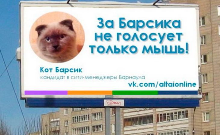 "Народный мэр Барнаула" кот Барсик не появится на новых банкнотах