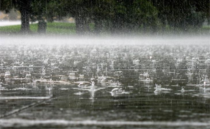 Алтайский край в четверг останется во власти дождей