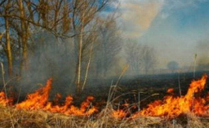 Штормовое предупреждение из-за пожароопасности передано по Алтайскому краю