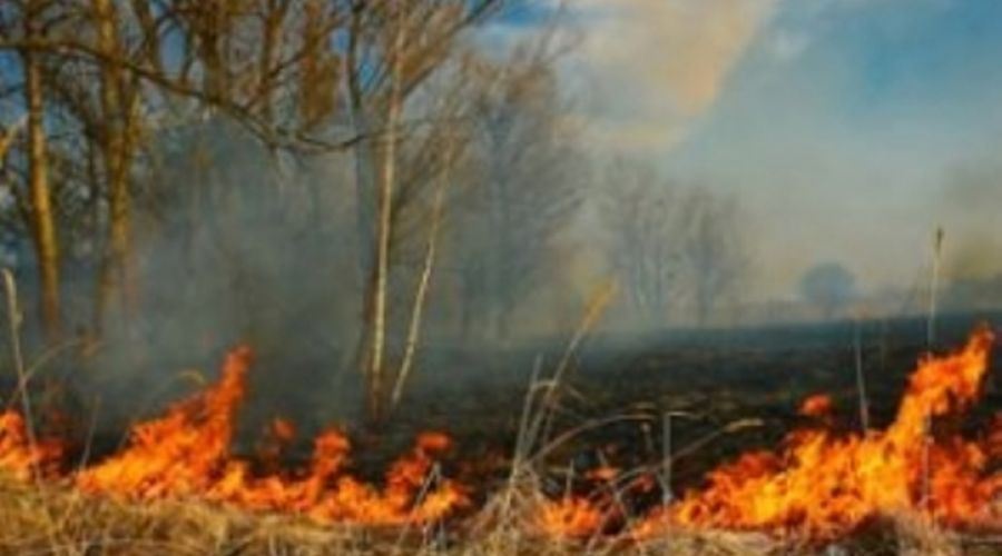 Штормовое предупреждение из-за пожароопасности передано по Алтайскому краю