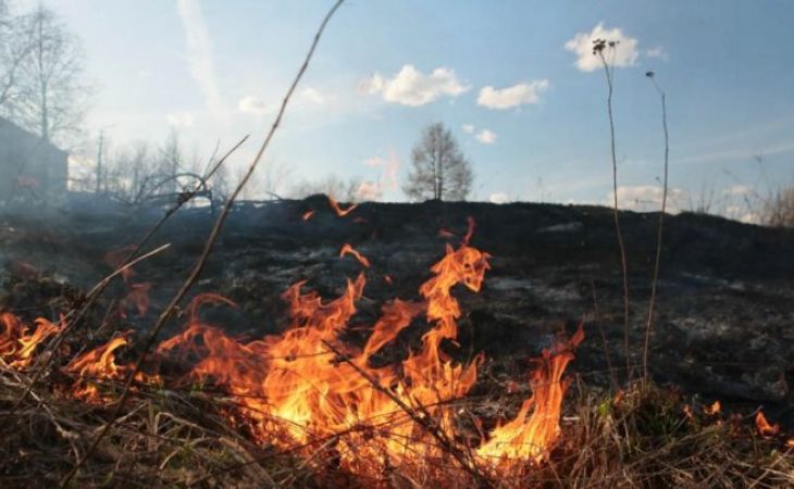 Пожары с Казахстана могут прийти на Алтай