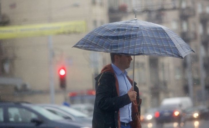 Дожди, грозы и сильный ветер ожидаются в Алтайском крае в понедельник