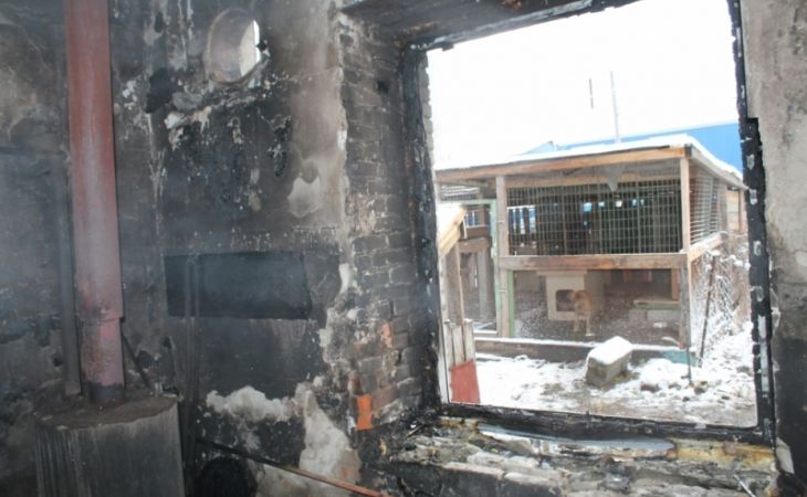 В барнаульском приюте для животных "Ласка" произошел пожар