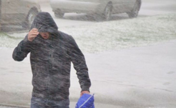 Сильные снегопады, метели и штормовой ветер ожидаются в четверг в Алтайском крае