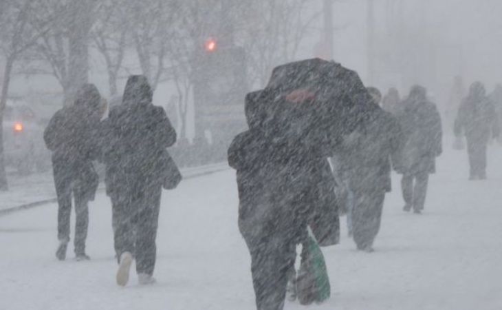 Метели, снегопады и порывистый ветер ожидаются во вторник в Алтайском крае