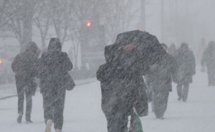 Метели, сильные снегопады и штормовой ветер ожидаются в пятницу в Алтайском крае