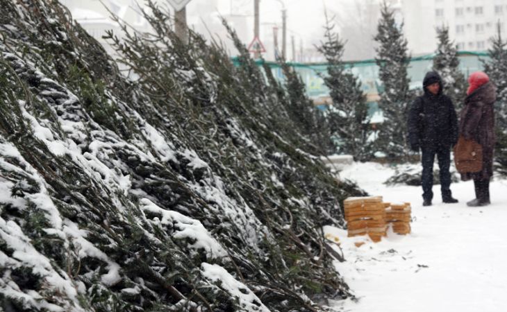 Барнаульцы предпочитают живым елкам искусственные