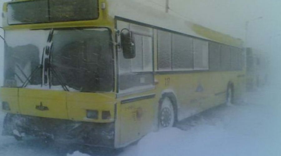 Полиция Алтайского края начала проверку пассажирского транспорта