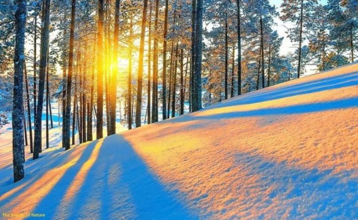 В Алтайском крае в среду потеплеет до -1 градуса