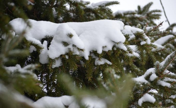 Снег и метели ожидаются в Алтайском крае в четверг
