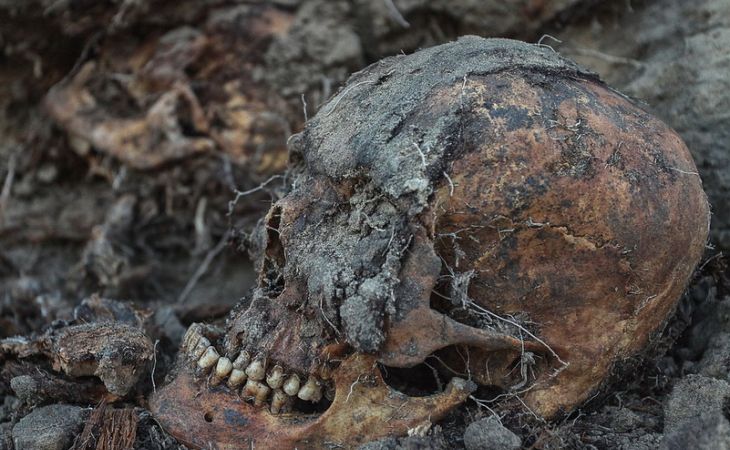 Вещи, найденные во время раскопок в Нагорном парке, передали в барнаульский музей