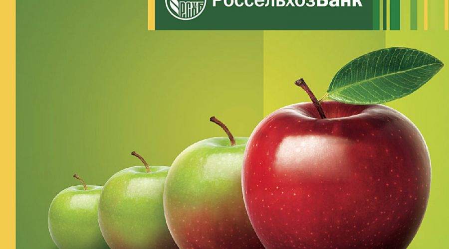 Объем вкладов жителей Алтайского края превысил 10 млрд рублей