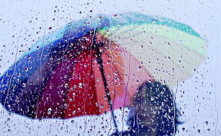 Дождливая погода сохранится в Алтайском крае 16 мая