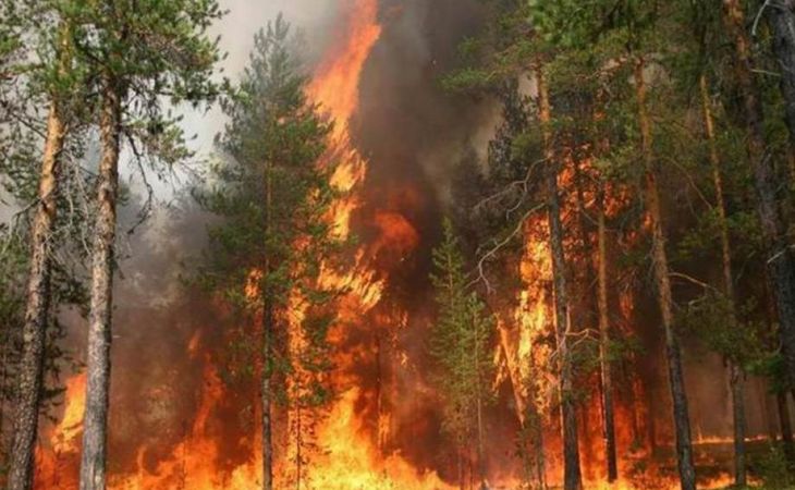 В Алтайском крае 4 класс пожароопасности