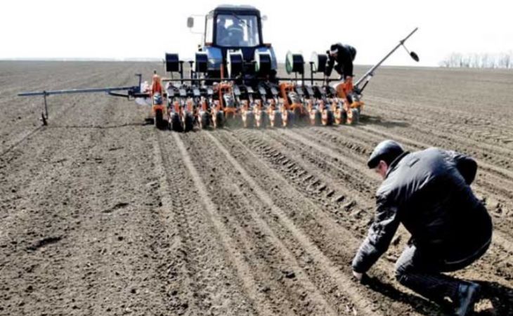 Россельхозбанк нарастил объем кредитов на сезонные работы на Алтае до 1,5 млрд рублей