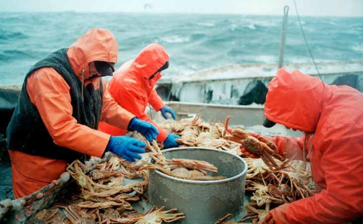 Рыбаки России просят Владимира Путина оставить прежним принцип распределения квот на вылов краба