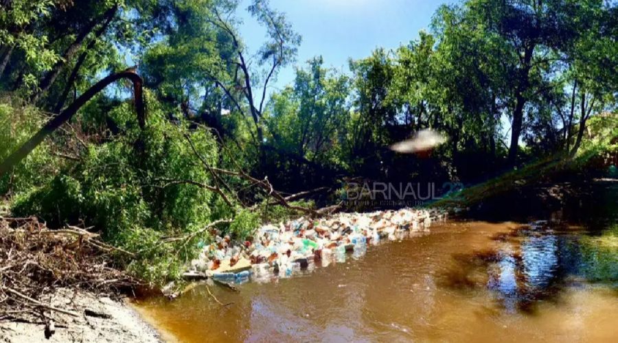 Берег из пластиковых бутылок образовался на реке Барнаулке