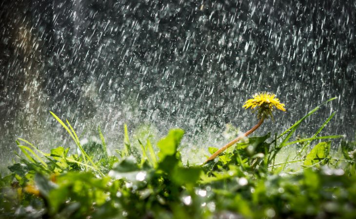 Погода 25 июля в Алтайском крае: вероятны дожди и грозы