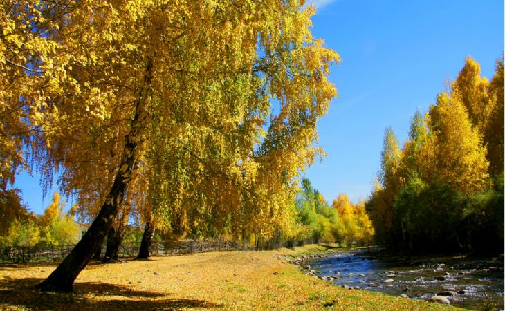 Погода 19 сентября в Алтайском крае: тепло возвращается