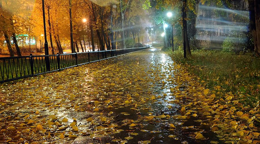Погода 1 октября в Алтайском крае: дожди и до +15