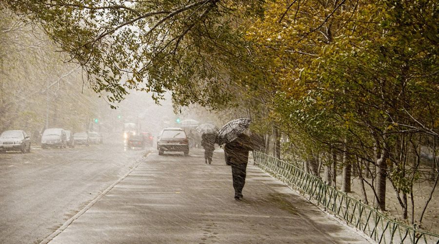 Погода 30 октября в Алтайском крае: мокрый снег, дождь и ветер