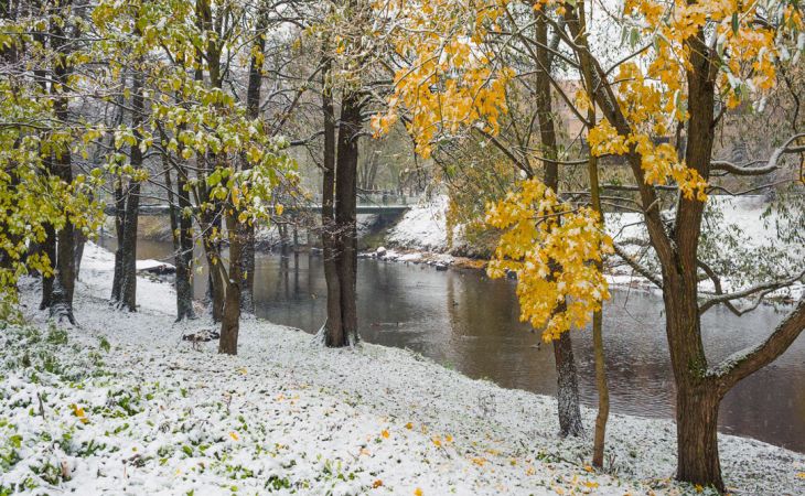 Погода 31 октября в Алтайском крае: снег и прохладно