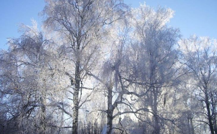 25-градусные морозы идут в Алтайский край