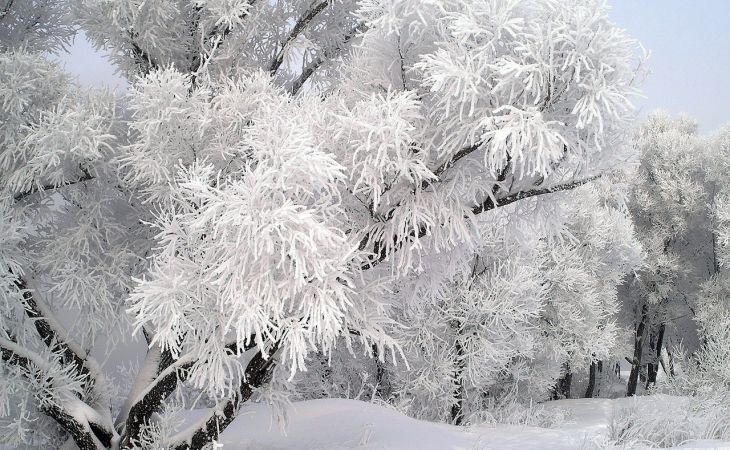 Резкое похолодание ожидается на выходных в Алтайском крае