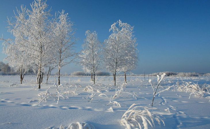 Погода 10 декабря в Алтайском крае: без осадков и до -18