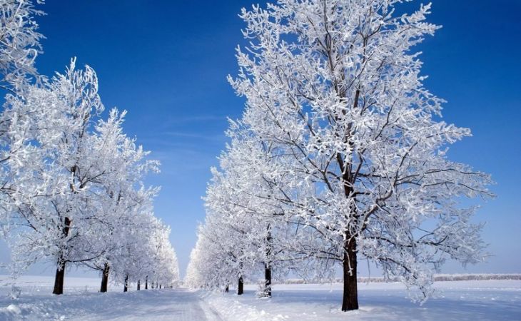 Погода 13 декабря в Алтайском крае: снег, гололед и до -12