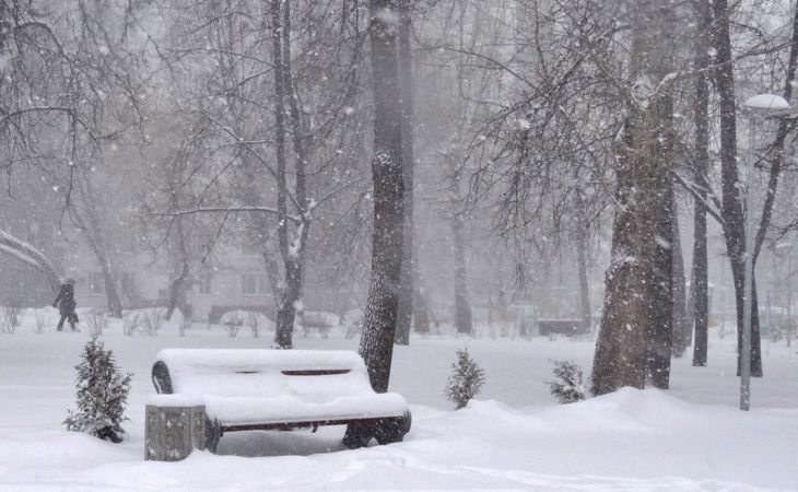 Погода 27 февраля в Алтайском крае: снег, ветер и до +8 градусов