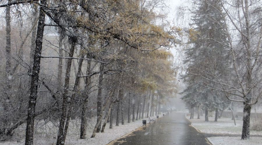 Погода 30 марта в Алтайском крае: ветер, дождь и мокрый снег