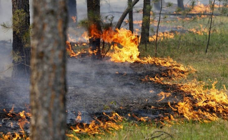 МЧС предупреждает о высокой пожароопасности на территории Алтайского края