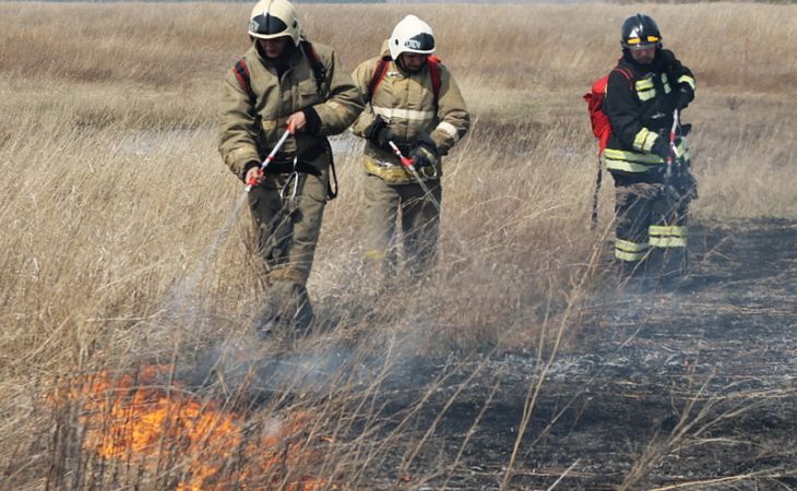 Сотрудники алтайского МЧС предотвратили около 300 начинающихся весенних пожаров