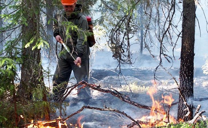 Троекратное снижение количества пожаров зафиксировано в Алтайском крае