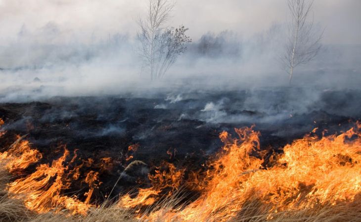 Самый высокий 4 класс пожароопасности ожидается в районах Алтайского края
