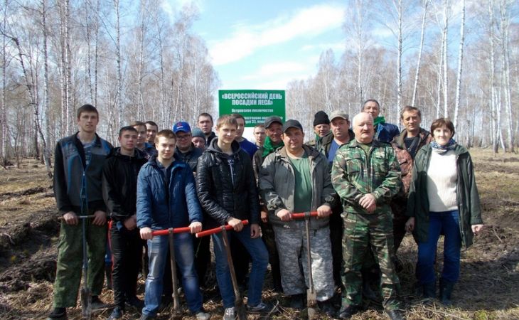Итоги акции "Всероссийский день посадки леса" подвели в Алтайском крае
