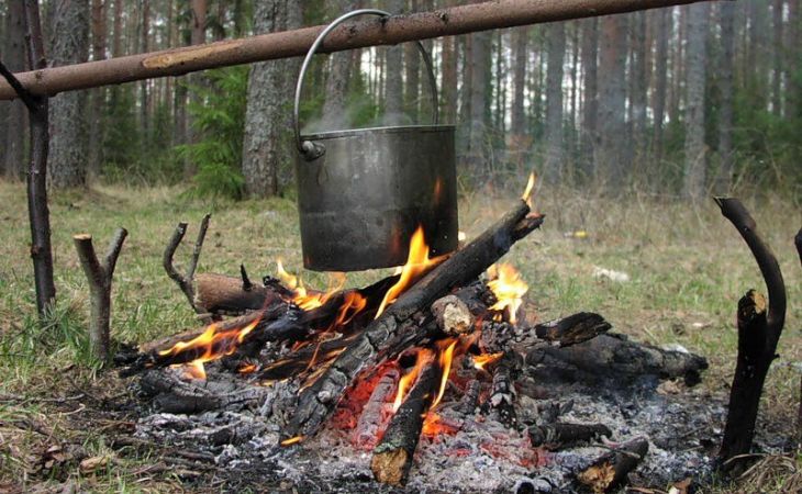 Пастух в Забайкалье сжег 600 га леса, пытаясь приготовить обед на костре