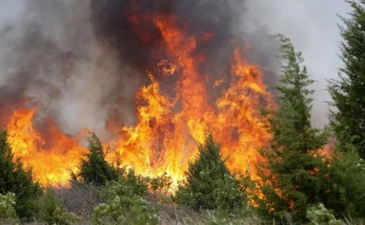 Высокая пожарная опасность сохраняется в Алтайском крае