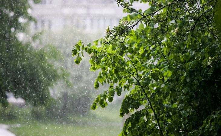 Погода 3 июня в Алтайском крае: дождь, гроза и до +27 градусов