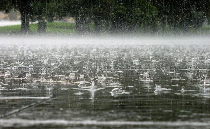 Погода 7 июня в Алтайском крае: дождь, гроза, ветер и до +26 градусов