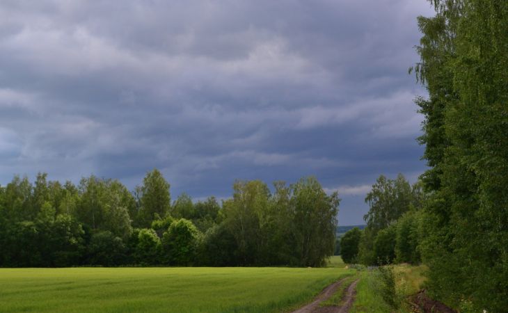 Погода 17 июля в Алтайском крае: дожди, грозы, ветер