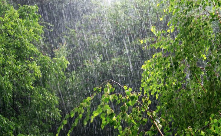 Погода 19 июля в Алтайском крае: дождь, грозы, ветер
