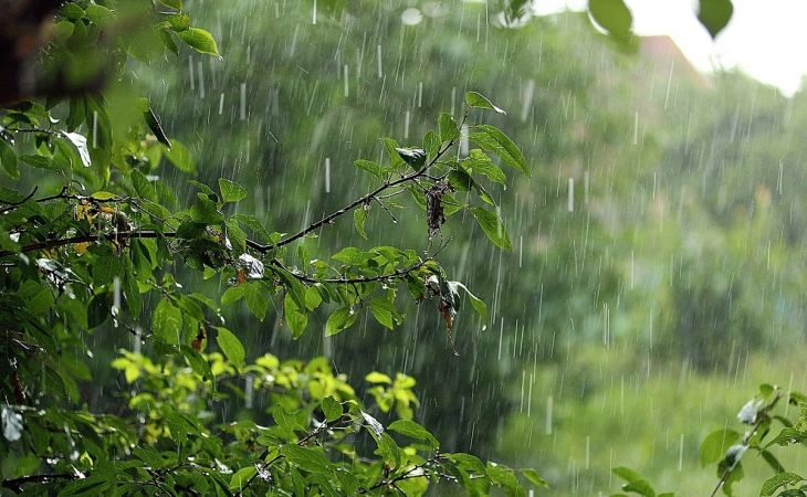 Погода 23 августа в Алтайском крае: похолодание и дожди с грозами